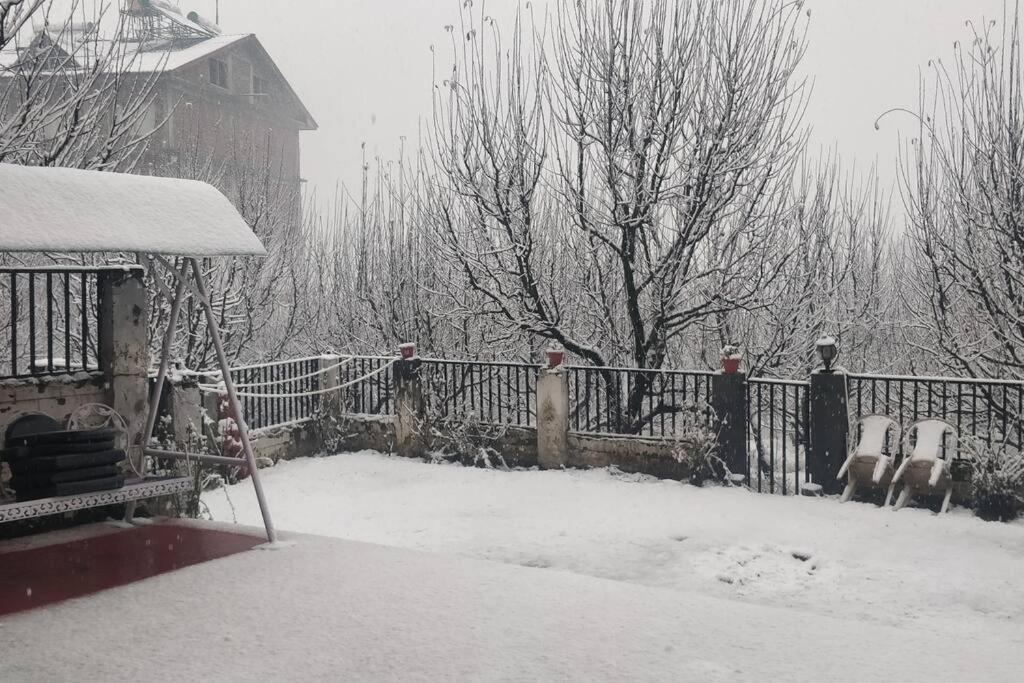Aroma Taru Villa / Cottage ,Manali - Manali (Himachal Pradesh) — Photos 1